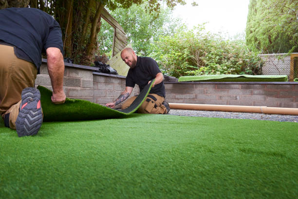 Landscaping 3