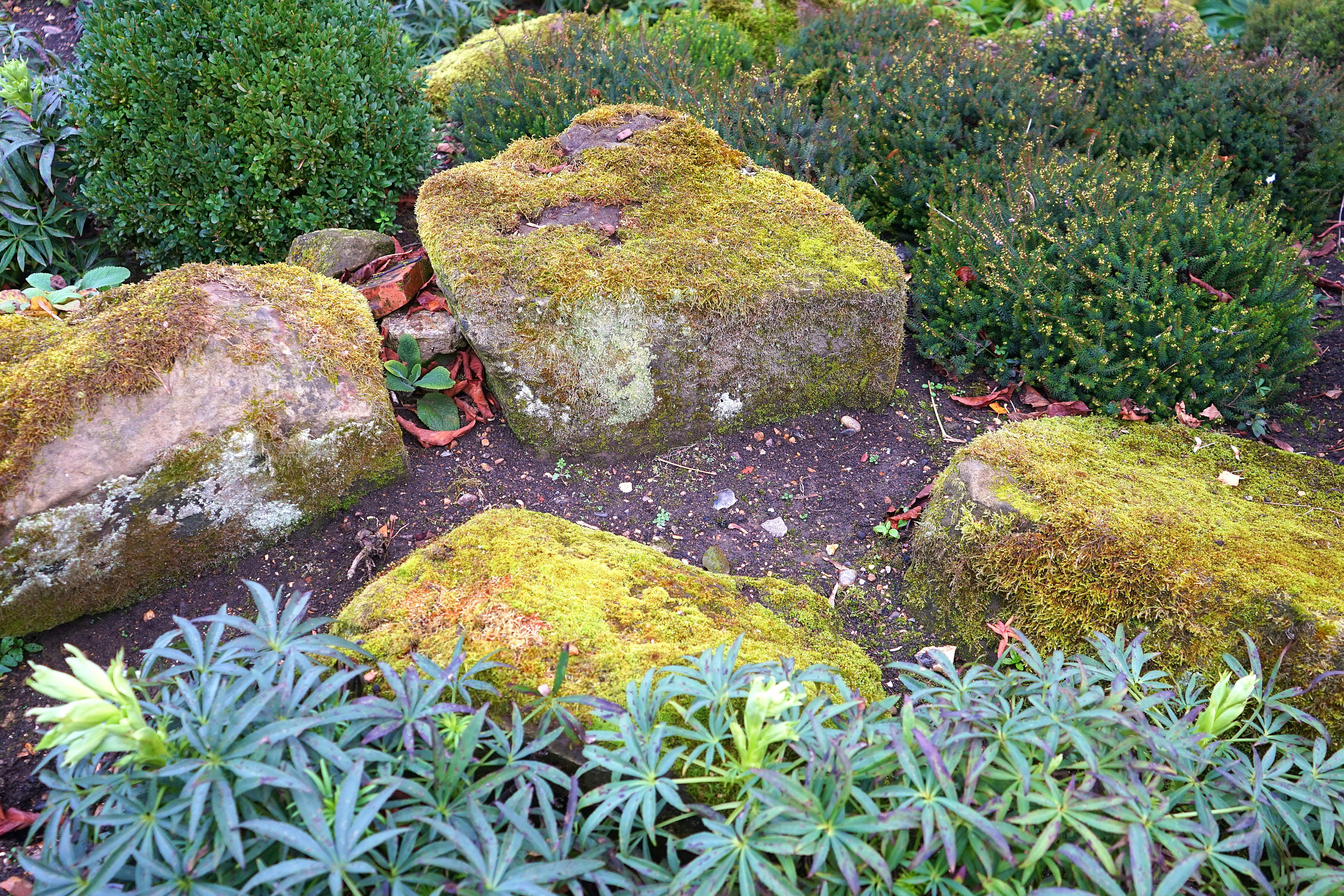 Landscaping 1