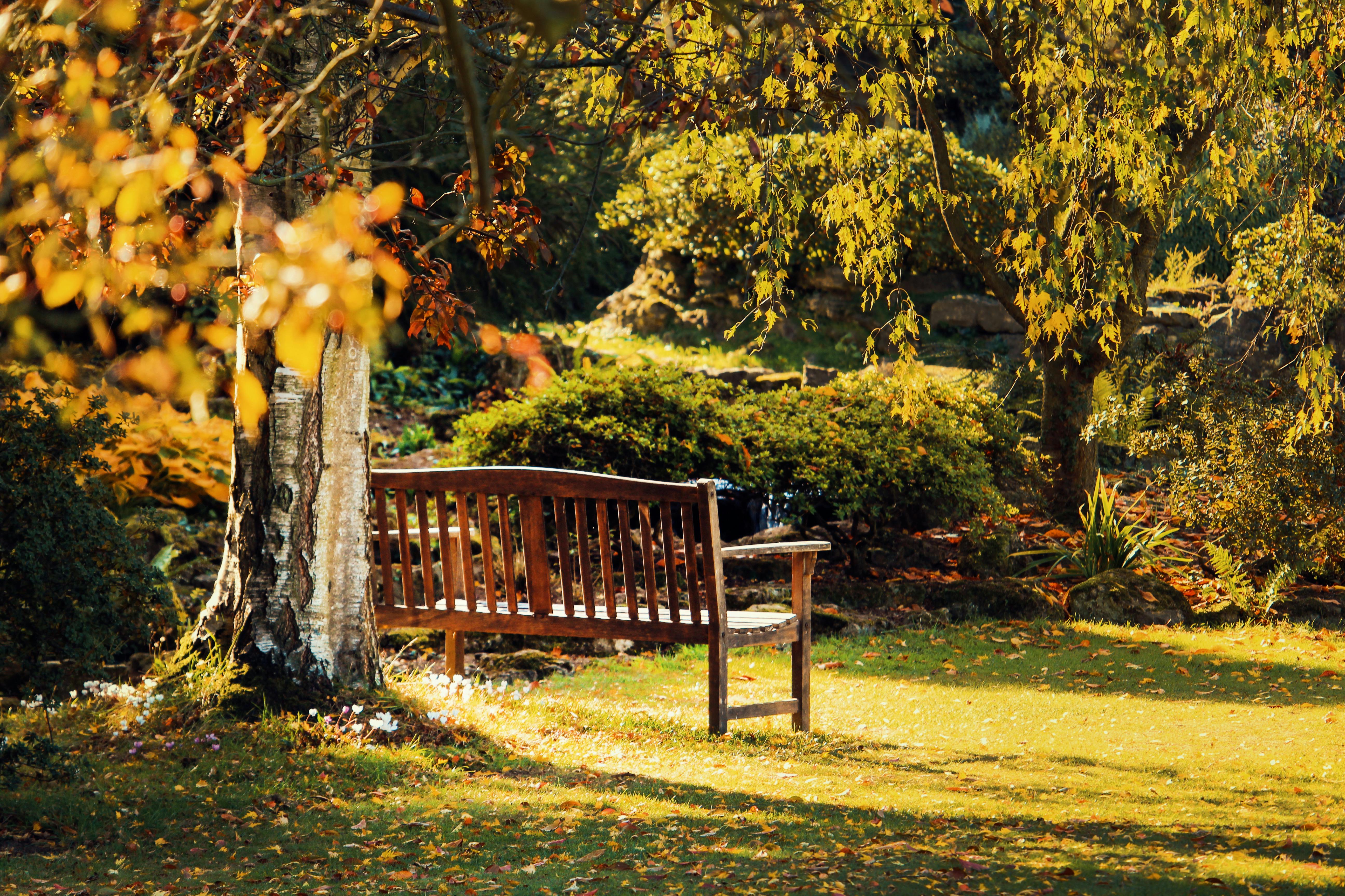 Outdoor Interiors 1